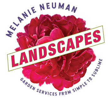 Melanie Neuman Landscapes